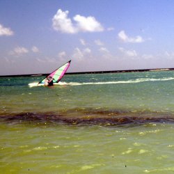 198709 - Guadeloupe - 059