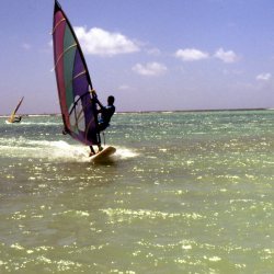 198709 - Guadeloupe - 060