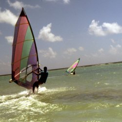198709 - Guadeloupe - 061