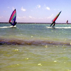198709 - Guadeloupe - 062