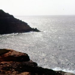 198709 - Guadeloupe - 063