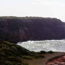 198709 - Guadeloupe - 064