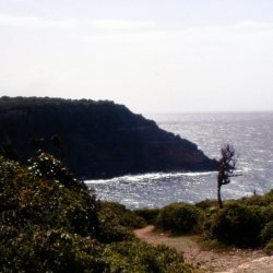 198709 - Guadeloupe - 065