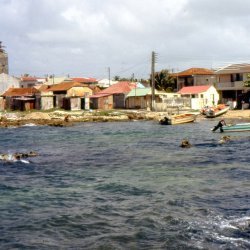 198709 - Guadeloupe - 067