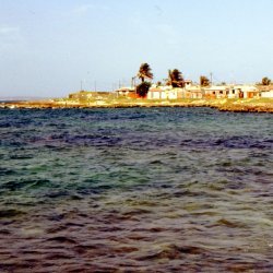 198709 - Guadeloupe - 068