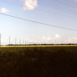 199807-Floride-0021