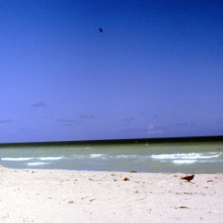 199807-Floride-0036