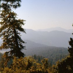 199807-Californie-0032