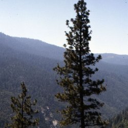199807-Californie-0034