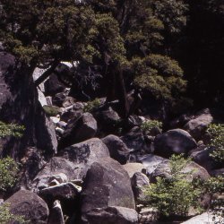 199807-Californie-0039