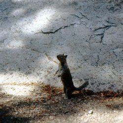 199807-Yosemite-0004