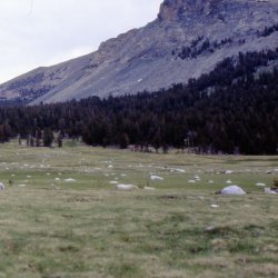 199807-Yosemite-0035