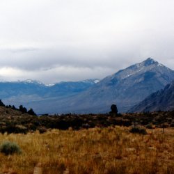 199807-Yosemite-0040