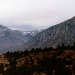 199807-Yosemite-0041