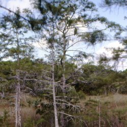 199807-GrandCanyon-0030