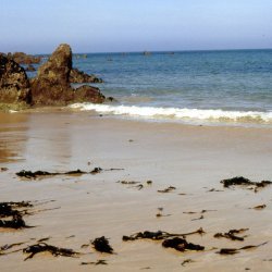 1989 - Bretagne - 017