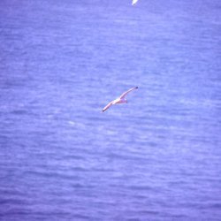 1989 - Bretagne - 036