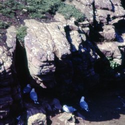 1989 - Bretagne - 037